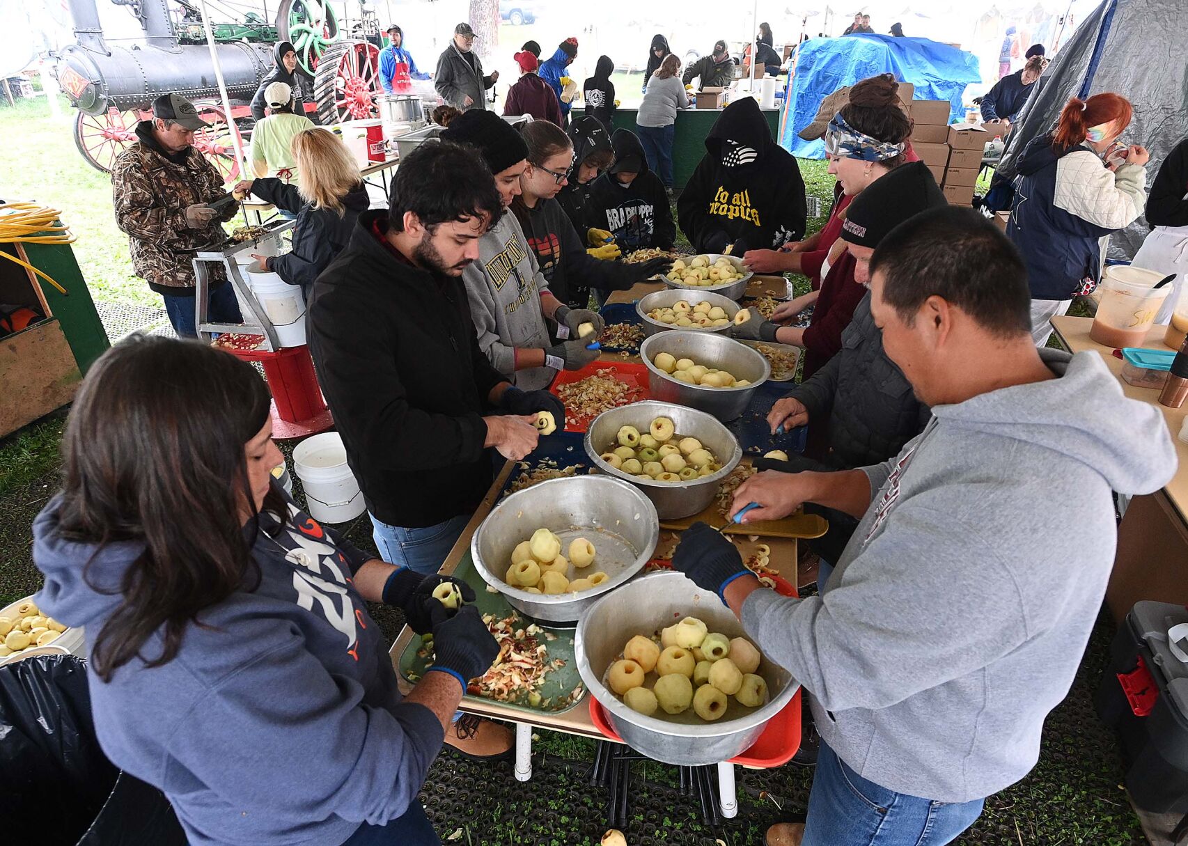 Apple Harvest 12.JPG
